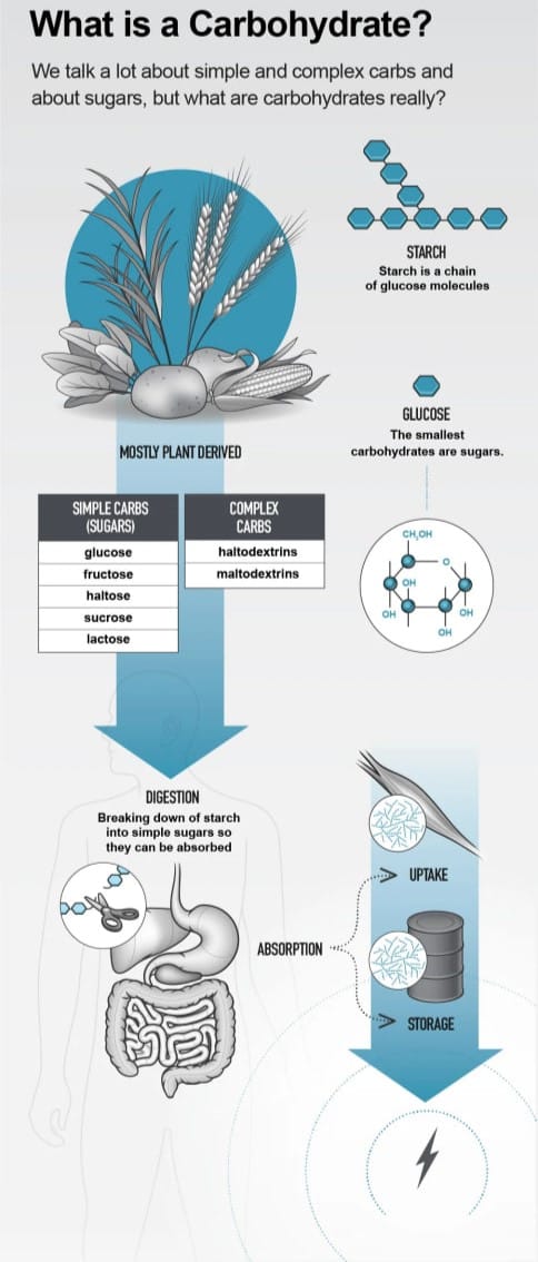 Carb-carbohydrates-instraction