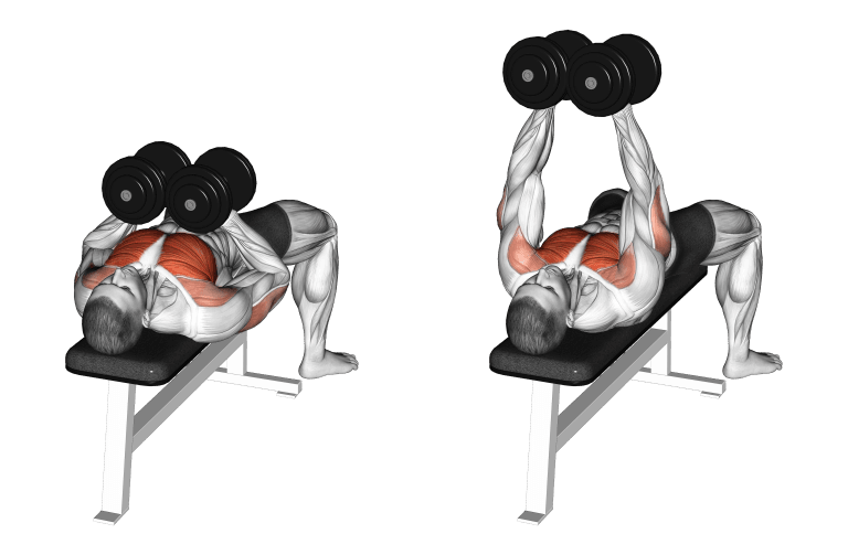 dumbbell-hex-press-muscles