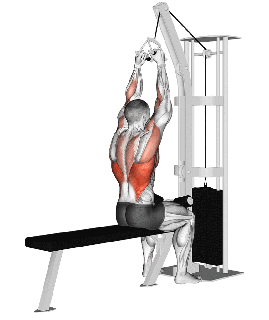 close-grip-lat-pulldown -aurasquad